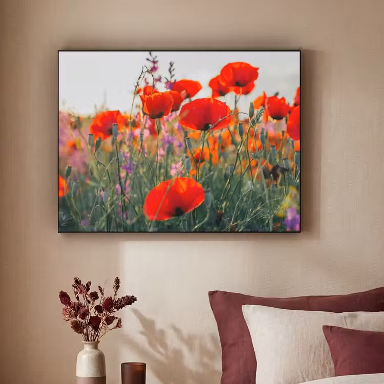Art Frame - Klaproos - Bloemen - Rood - Paars - Weide — 2