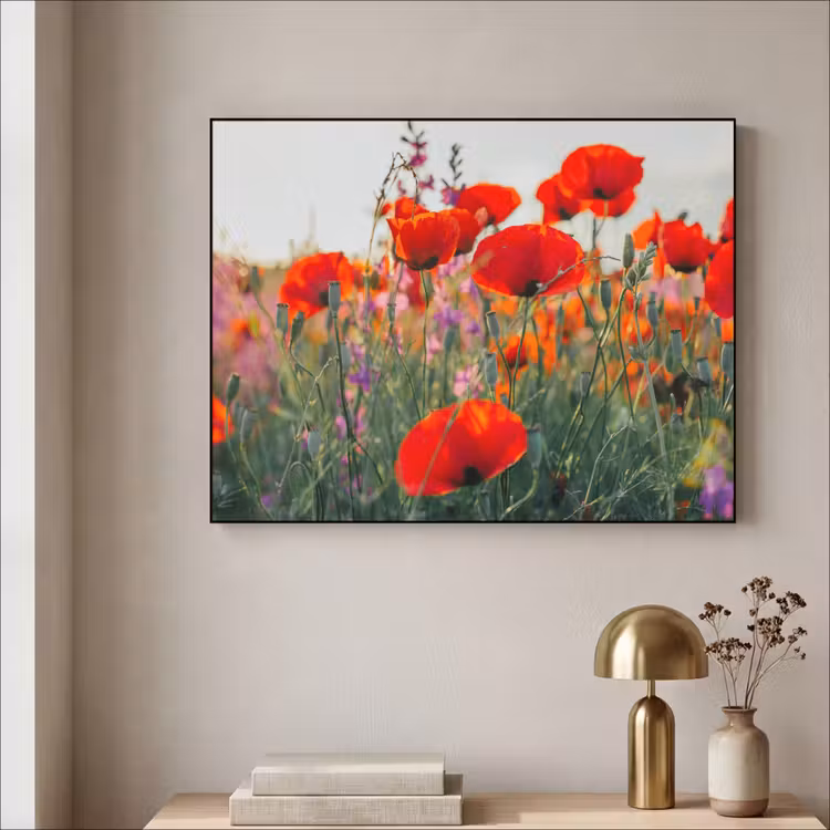Art Frame - Klaproos - Bloemen - Rood - Paars - Weide — 3
