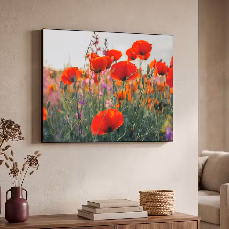 Art Frame - Klaproos - Bloemen - Rood - Paars - Weide — 4