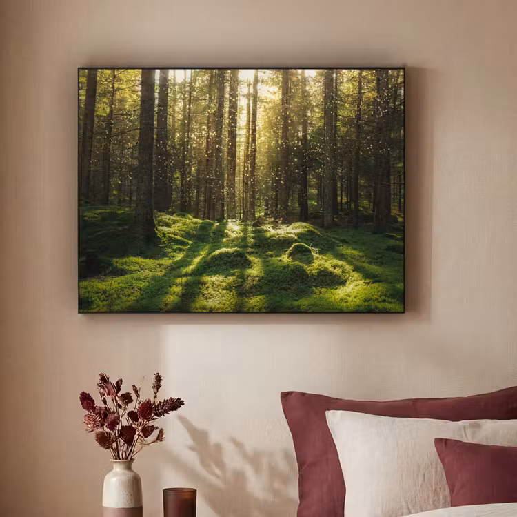 Art Frame - Bomen - Bos - Mos - Planten - Zon - Natuur — 2