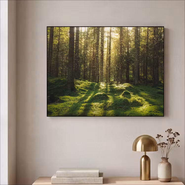 Art Frame - Bomen - Bos - Mos - Planten - Zon - Natuur — 3