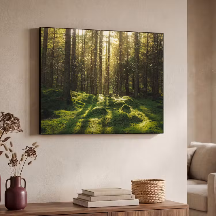 Art Frame - Bomen - Bos - Mos - Planten - Zon - Natuur — 4