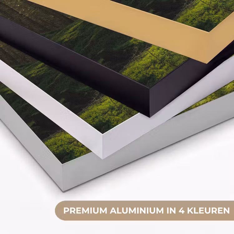 Art Frame - Bomen - Bos - Mos - Planten - Zon - Natuur — 5