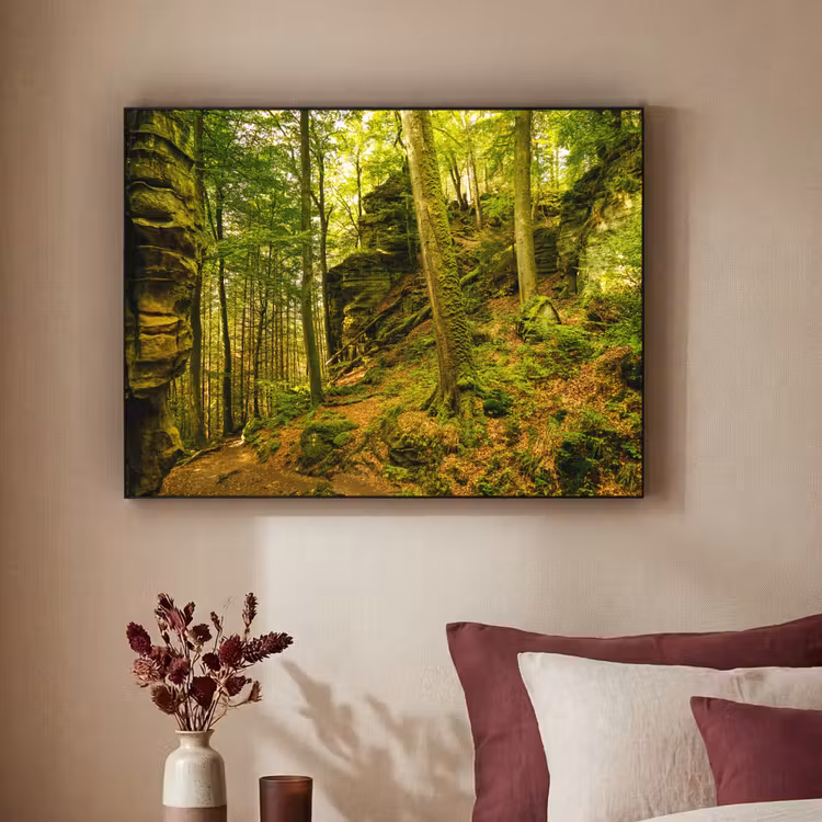 Art Frame - Bomen - Steen - Bos - Natuur - Planten — 2