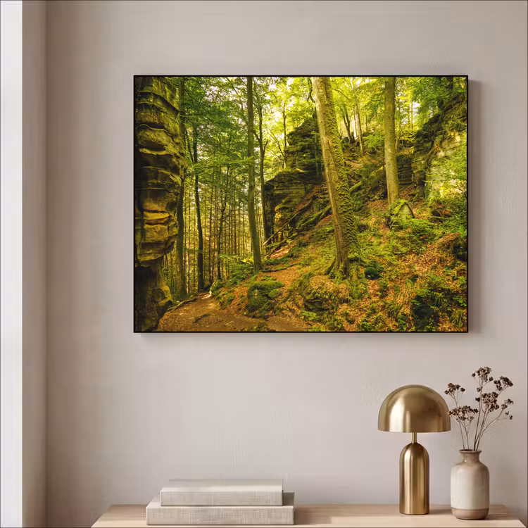 Art Frame - Bomen - Steen - Bos - Natuur - Planten — 3