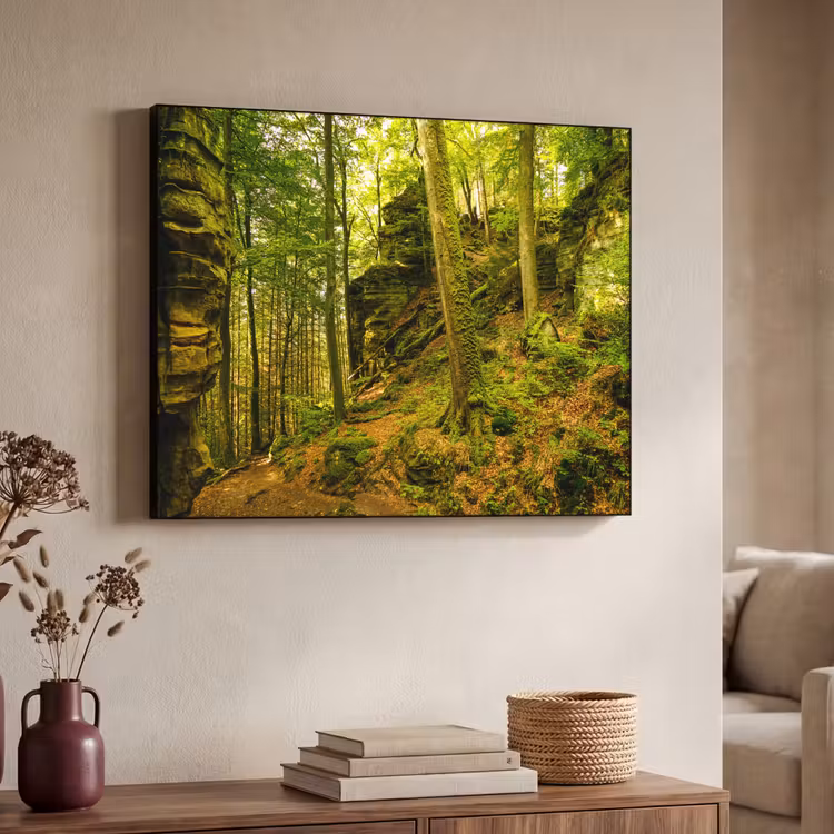 Art Frame - Bomen - Steen - Bos - Natuur - Planten — 4
