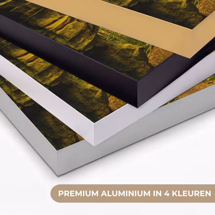 Art Frame - Bomen - Steen - Bos - Natuur - Planten — 5