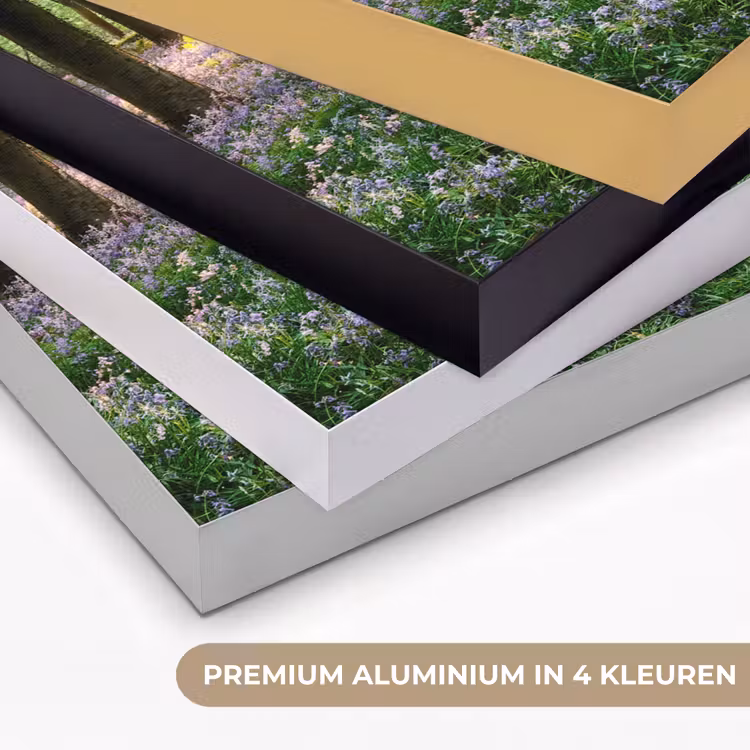 Art Frame - Bos - Bloemen - Lavendel - Zon - Paars - Natuur — 5