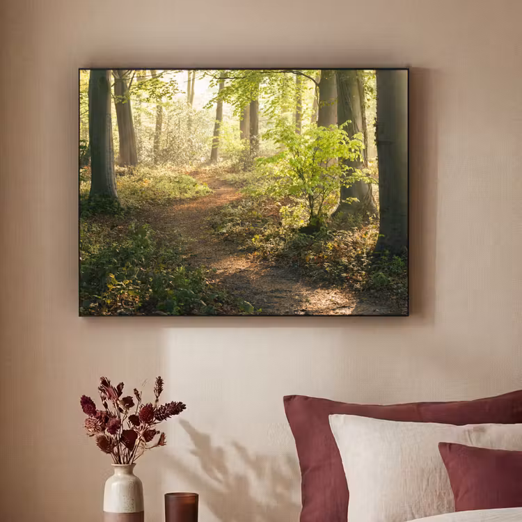 Art Frame - Bos - Bomen - Pad - Zon - Planten - Bladeren - Natuur — 2
