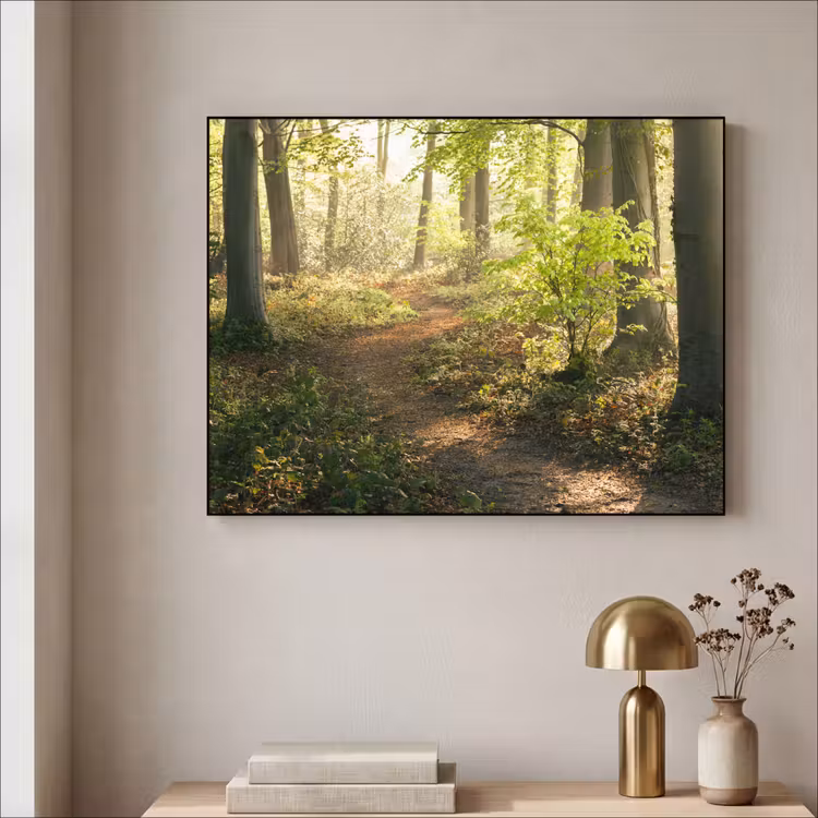 Art Frame - Bos - Bomen - Pad - Zon - Planten - Bladeren - Natuur — 3