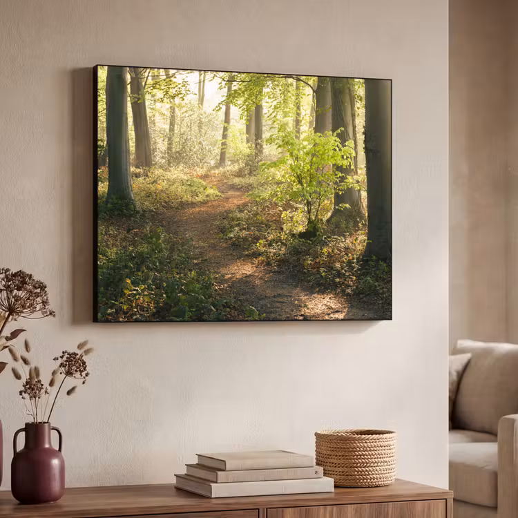 Art Frame - Bos - Bomen - Pad - Zon - Planten - Bladeren - Natuur — 4