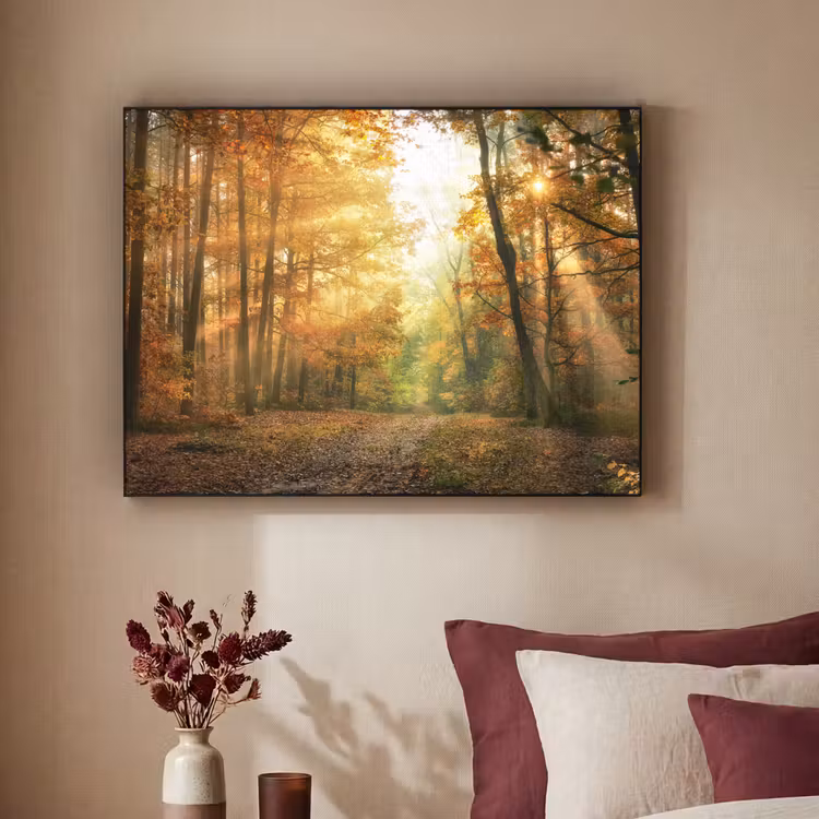 Art Frame - Bos - Herfst - Zon - Landschap - Natuur - Bomen - Bladeren — 2