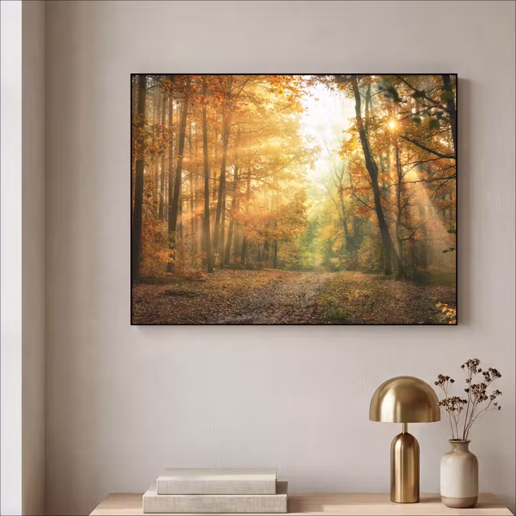 Art Frame - Bos - Herfst - Zon - Landschap - Natuur - Bomen - Bladeren — 3