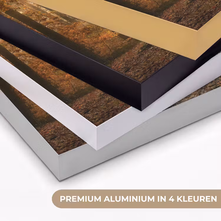 Art Frame - Bos - Herfst - Zon - Landschap - Natuur - Bomen - Bladeren — 5