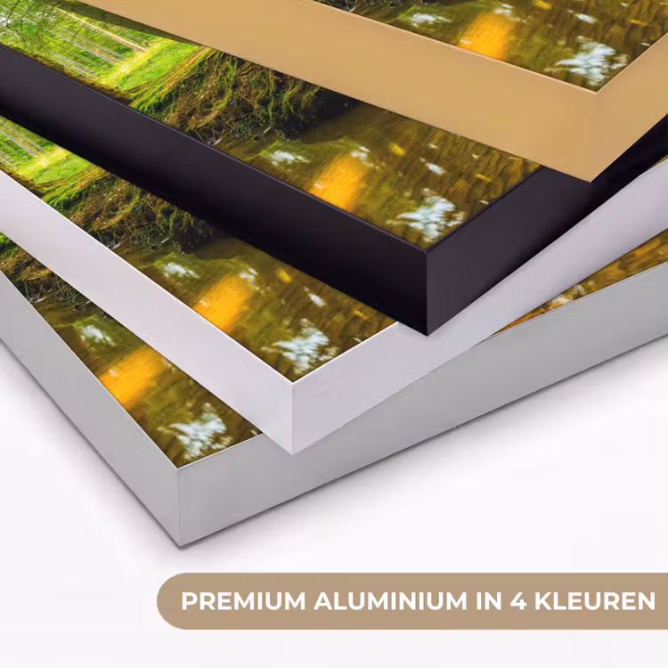 Art Frame - Bos - Landschap - Water - Bomen - Zon - Groen - Natuur — 5