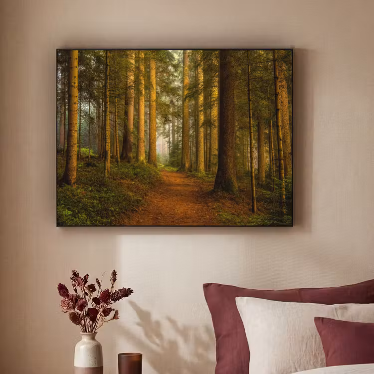 Art Frame - Bos - Natuur - Bomen - Landschap - Bladeren — 2
