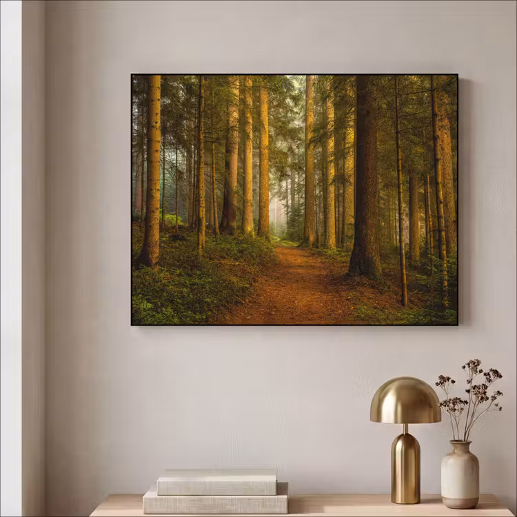 Art Frame - Bos - Natuur - Bomen - Landschap - Bladeren — 3