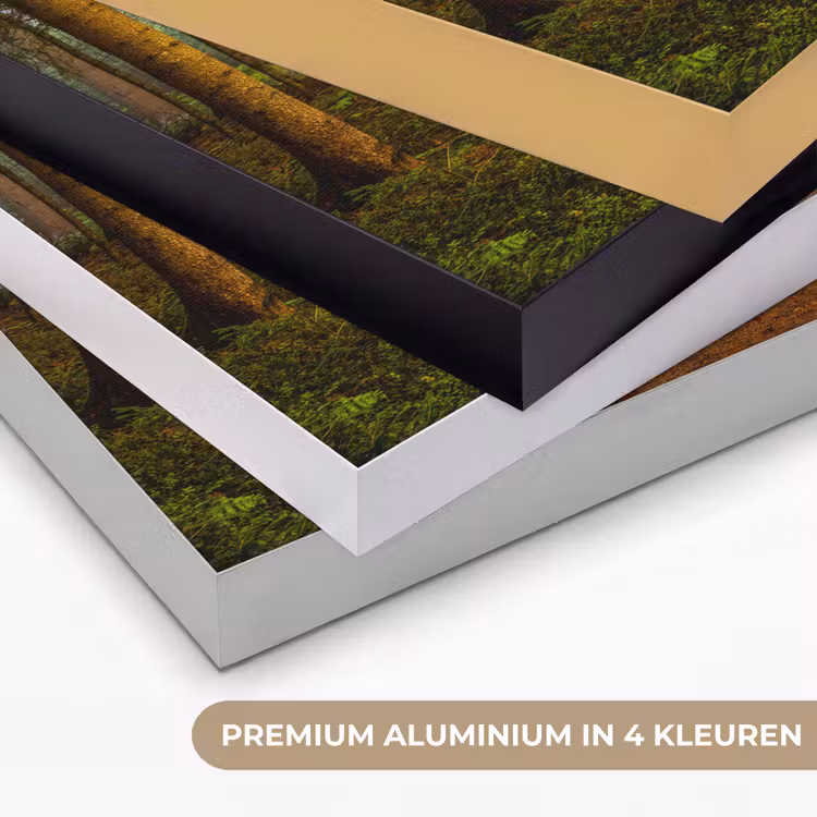 Art Frame - Bos - Natuur - Bomen - Landschap - Bladeren — 5