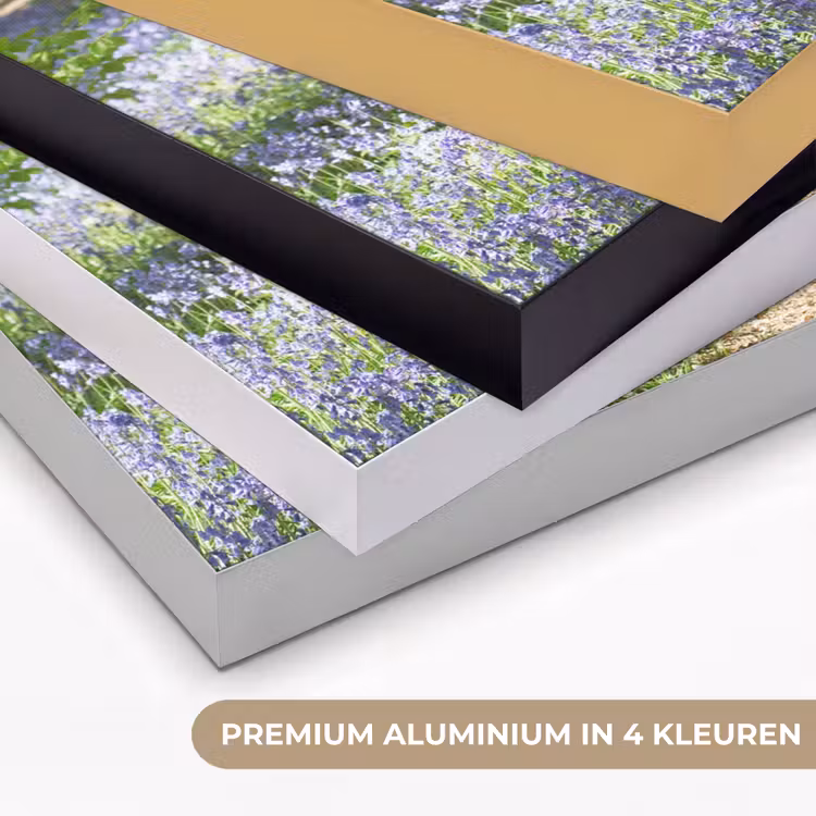 Art Frame - Bos - Pad - Bloemen - Paars - Groen - Natuur — 5