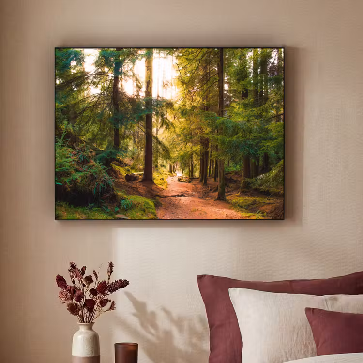 Art Frame - Bos - Pad - Bomen - Groen - Zon - Natuur — 2