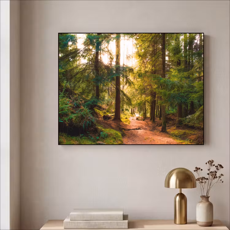 Art Frame - Bos - Pad - Bomen - Groen - Zon - Natuur — 3