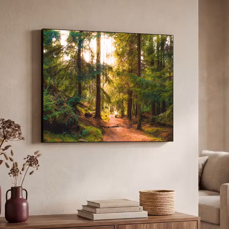 Art Frame - Bos - Pad - Bomen - Groen - Zon - Natuur — 4