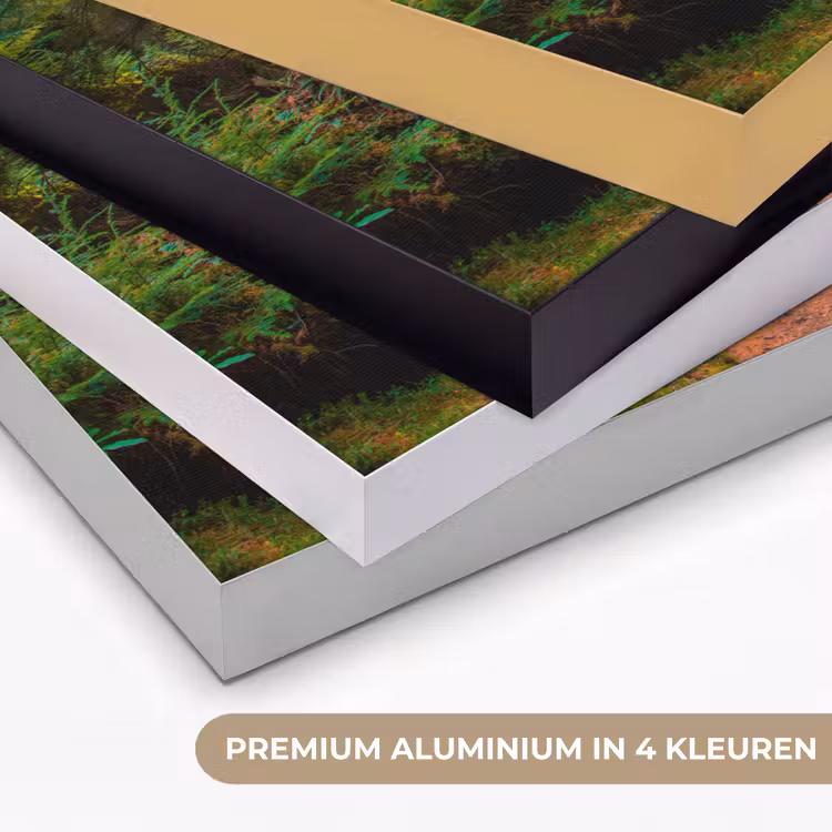 Art Frame - Bos - Pad - Bomen - Groen - Zon - Natuur — 5
