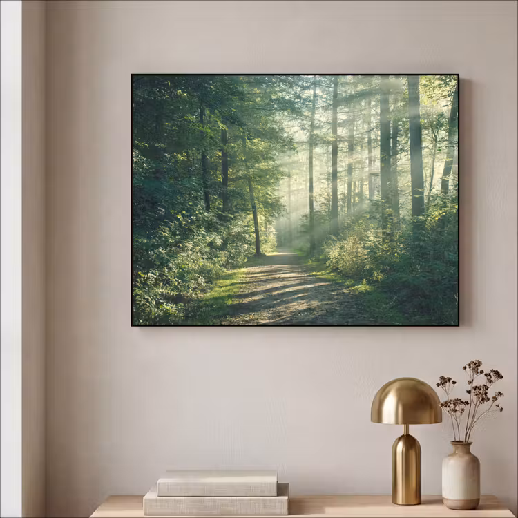 Art Frame - Bos - Pad - Zon - Bomen - Groen - Natuur — 3