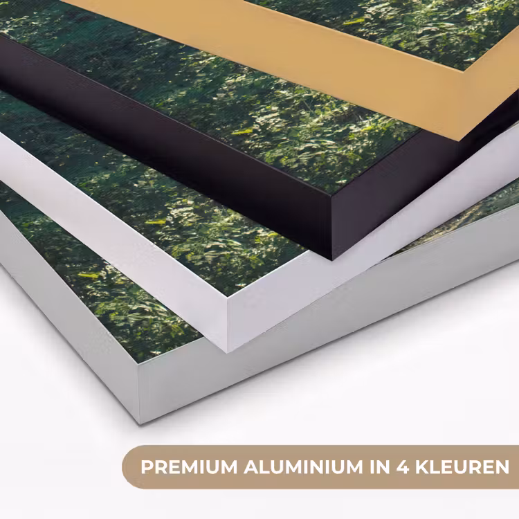 Art Frame - Bos - Pad - Zon - Bomen - Groen - Natuur — 5