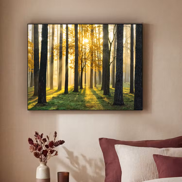 Art Frame - Bos - Zon - Bomen - Gras - Landschap  - Natuur — 2