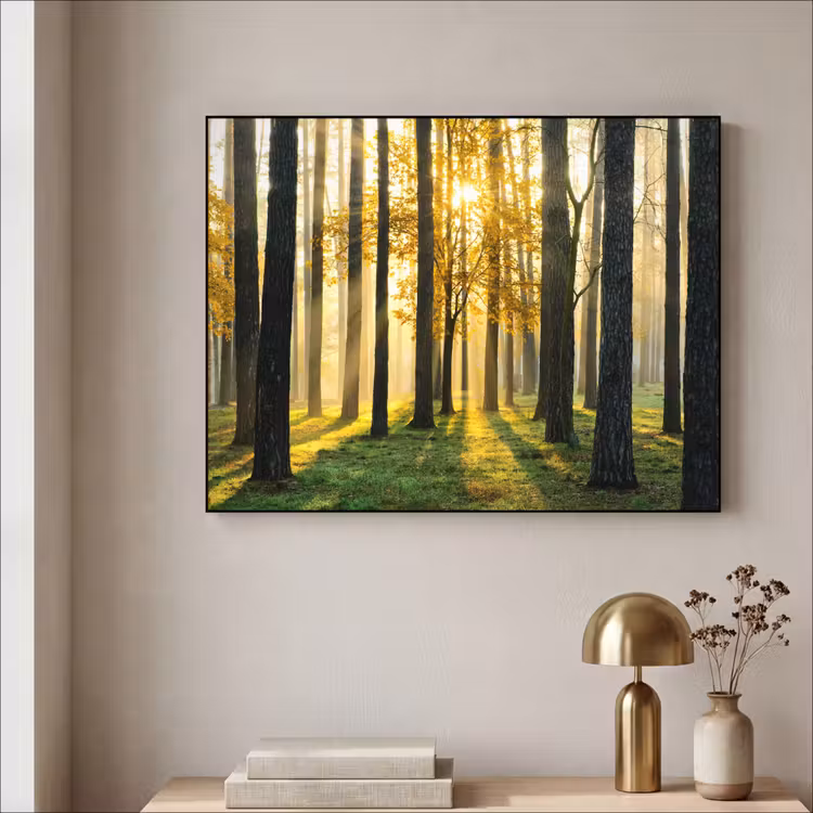 Art Frame - Bos - Zon - Bomen - Gras - Landschap  - Natuur — 3