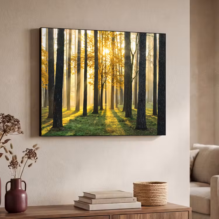 Art Frame - Bos - Zon - Bomen - Gras - Landschap  - Natuur — 4