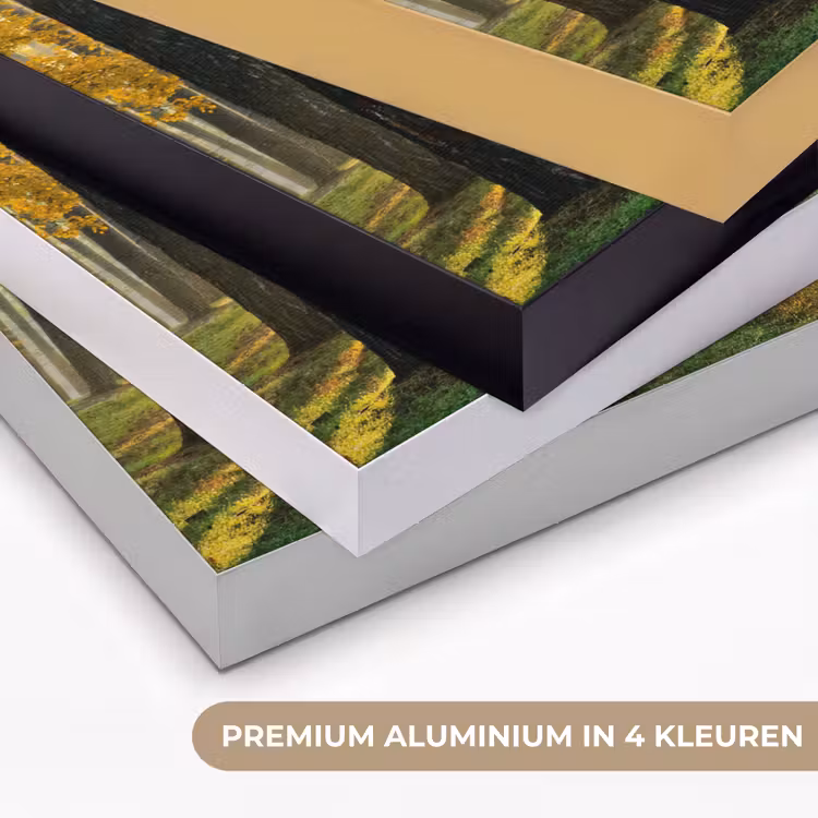 Art Frame - Bos - Zon - Bomen - Gras - Landschap  - Natuur — 5