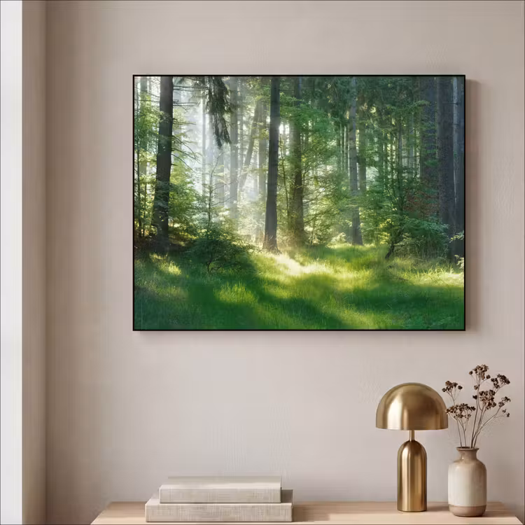 Art Frame - Natuur - Bomen - Bos - Groen - Zon - Gras - Planten — 3