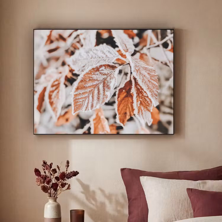 Art Frame - Bladeren - IJs - Winter - Natuur — 2