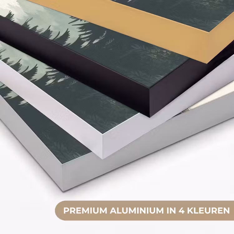 Art Frame - Pad - Bomen - Bos - Illustratie — 5