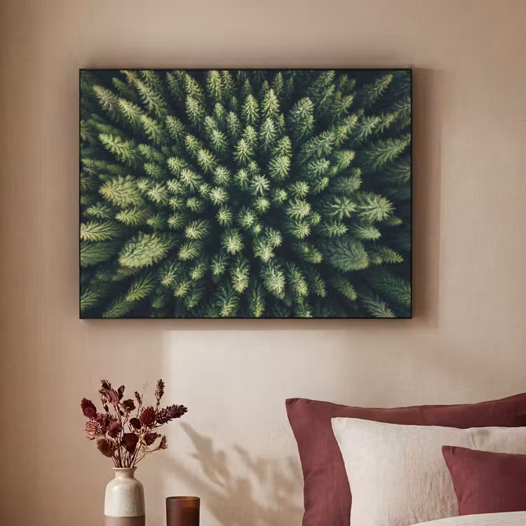Art Frame - Bomen - Naaldwoud - Structuur — 2