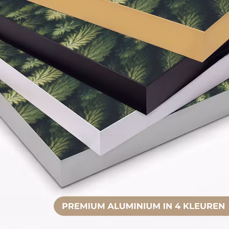 Art Frame - Bomen - Naaldwoud - Structuur — 5