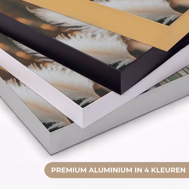 Art Frame - Pampasgras - Pluimen - Sierlijk — 5