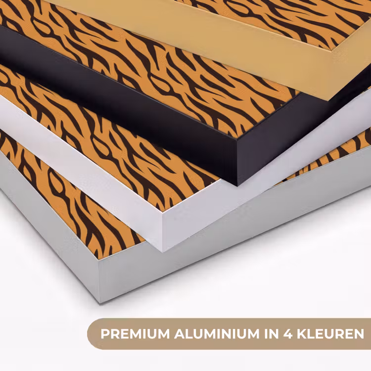 Art Frame - Dier - Oranje - Tijger — 5