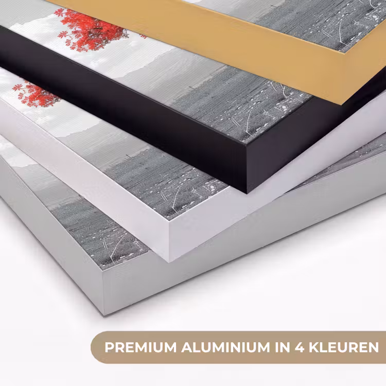 Art Frame - Boom - Rood - Natuur - Zwart wit — 5