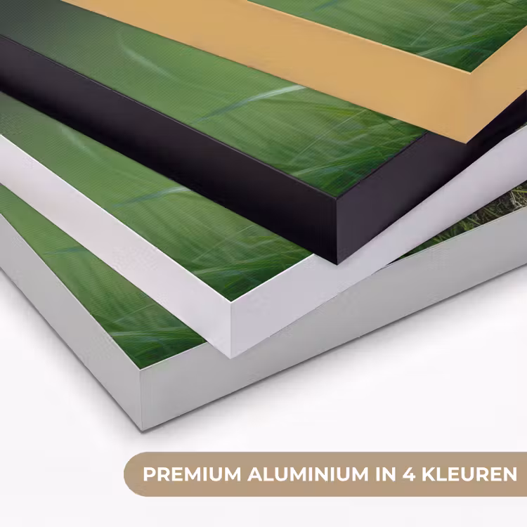 Art Frame - Kuiken - Eend - Geel - Gras — 5
