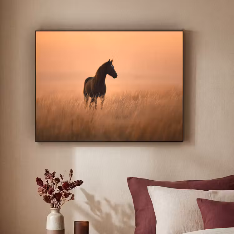 Art Frame - Paard - Grasveld - Zonsondergang — 2