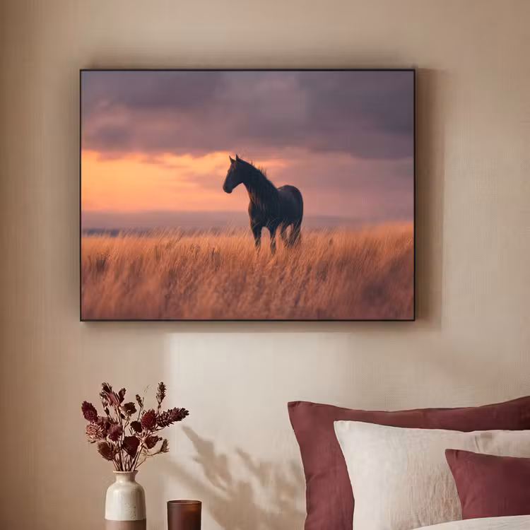 Art Frame - Paard - Wolken - Open veld — 2