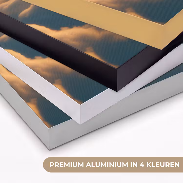 Art Frame - Adelaar - Wolken - Zon — 5