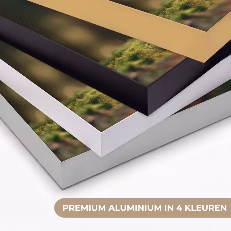 Art Frame - Eekhoorn - Nootje - Gras — 5