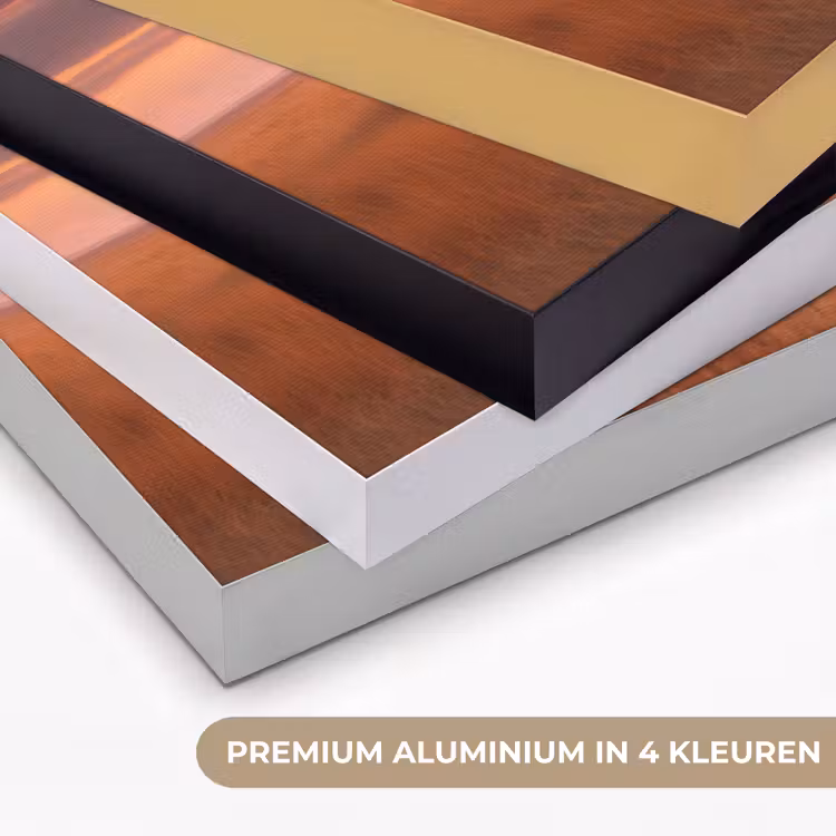 Art Frame - Groep olifanten - Open vlakte - Zon — 5