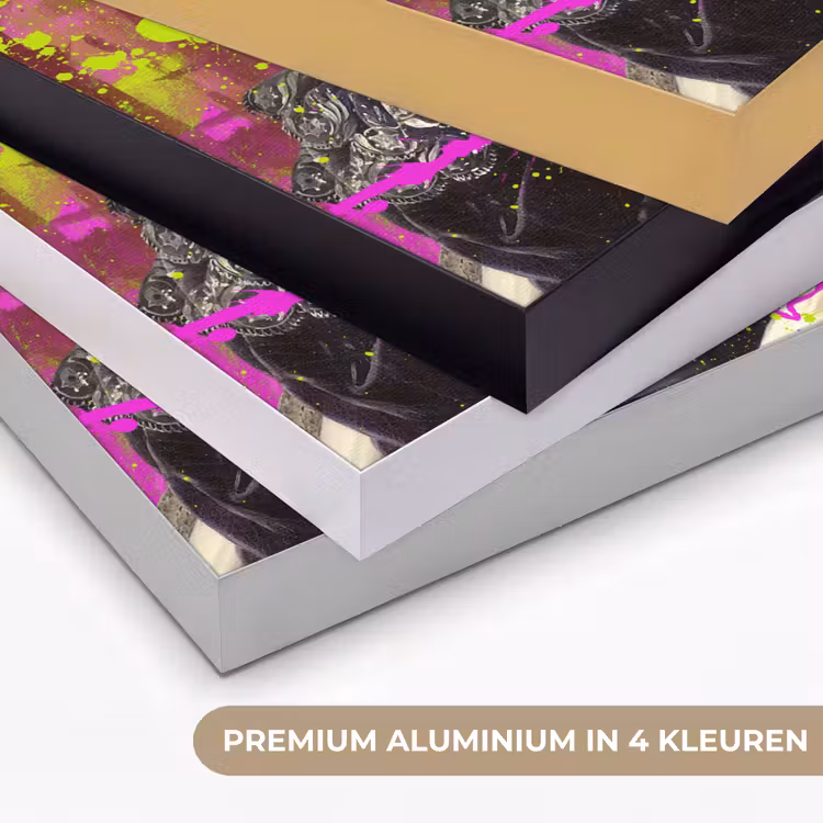 Art Frame - Johanna Henriette Engelen - Dubois Drahonet - Neon — 5
