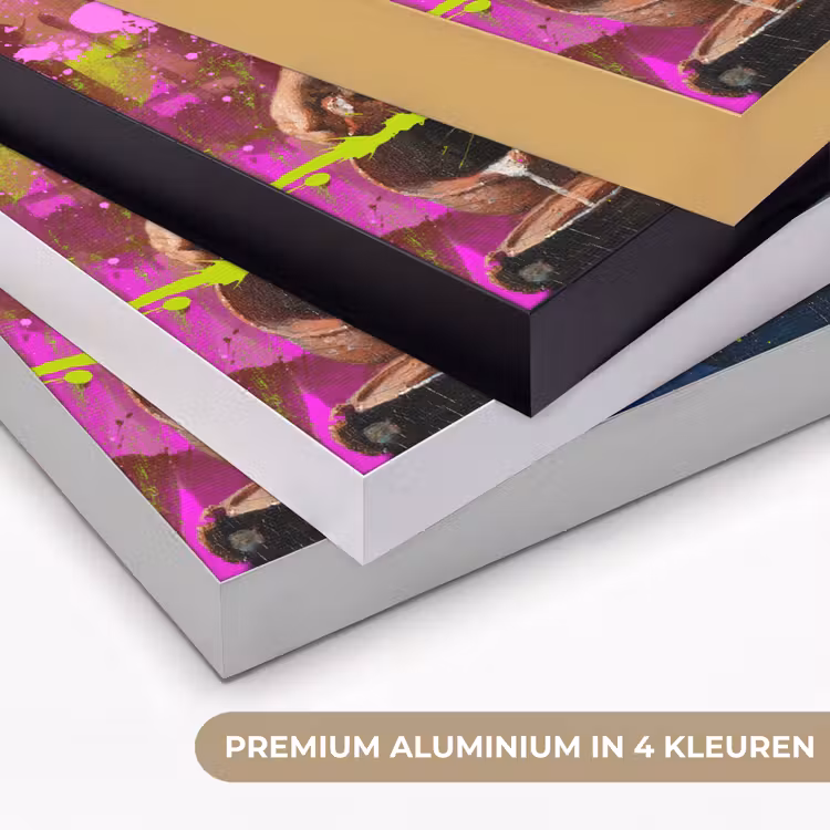 Art Frame - Melkmeisje - Johannes Vermeer - Neon — 5