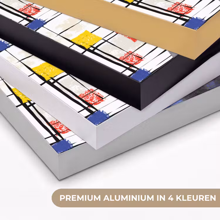 Art Frame - Mondriaan - Meisje met de parel - Collage — 5